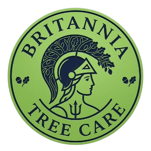Brittania Tree Care
