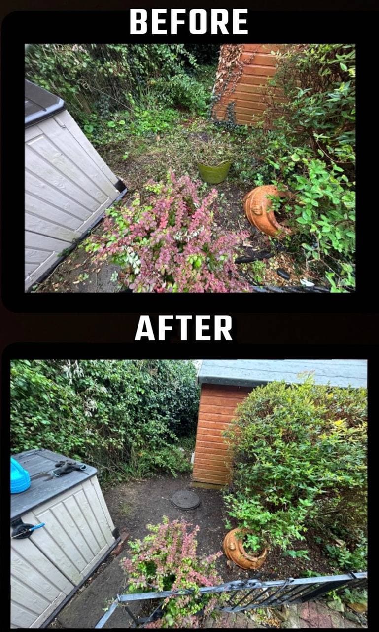 Before and after of an overgrown corner border cleared beside a garden store