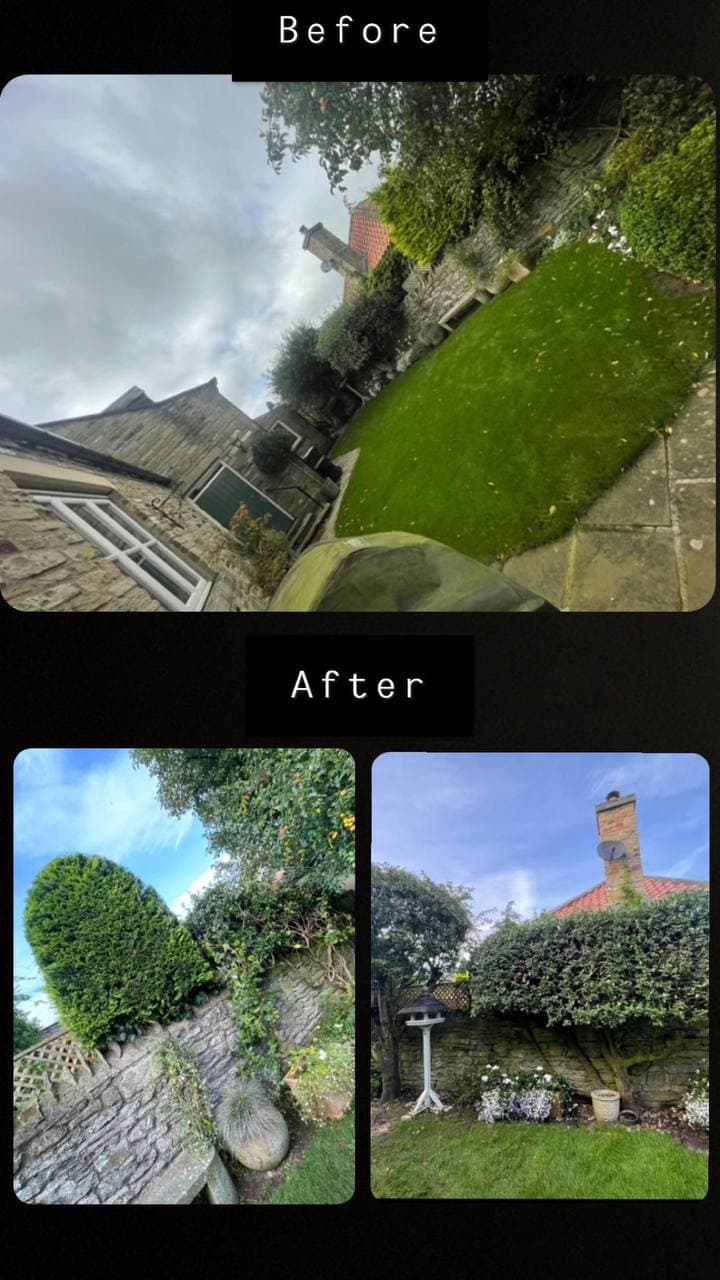 Before and after of an overgrown garden border cut back and opened up