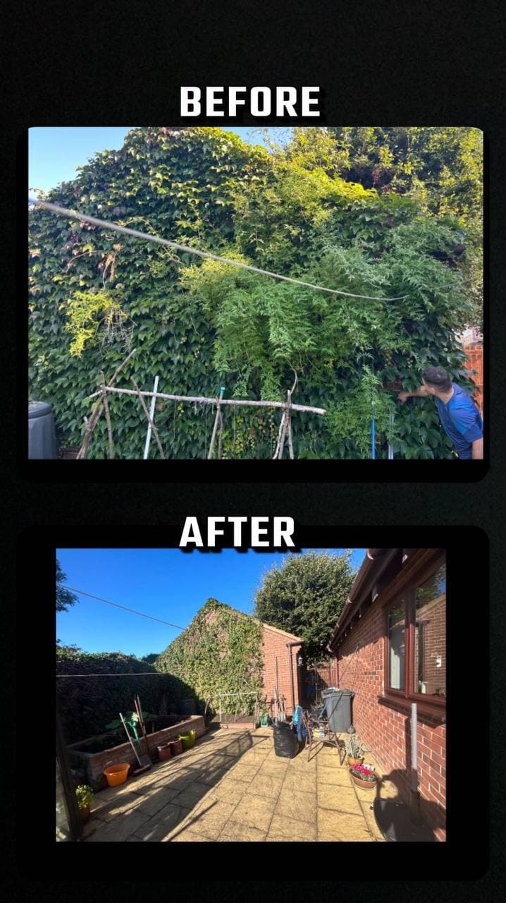 Before and after of heavy ivy stripped from a garden wall, opening up the patio
