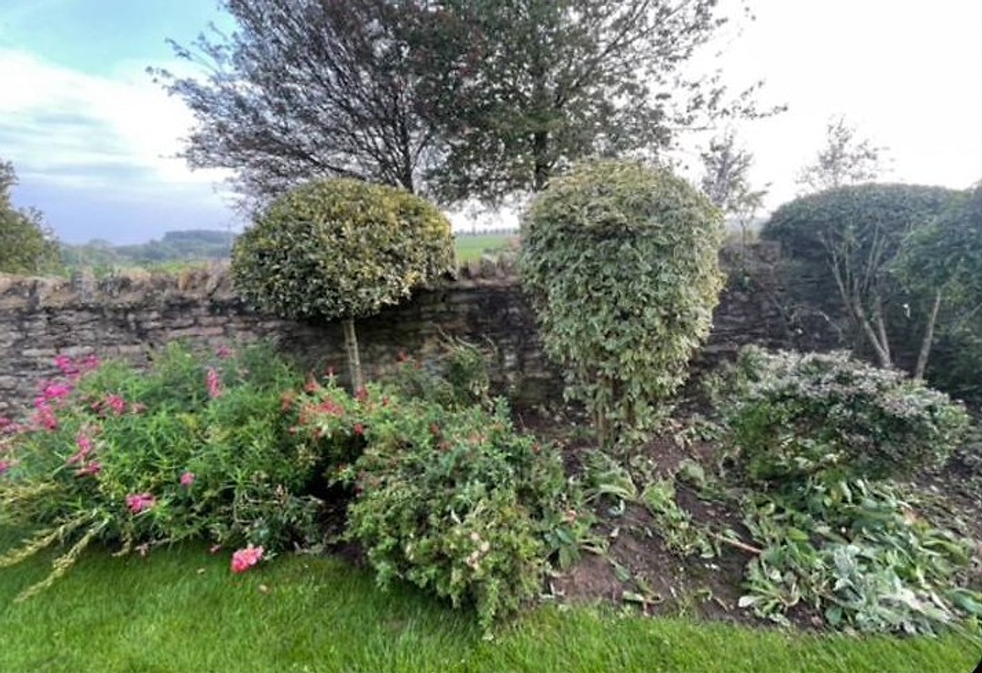 The same border cleared back to two shaped topiary balls and flowers