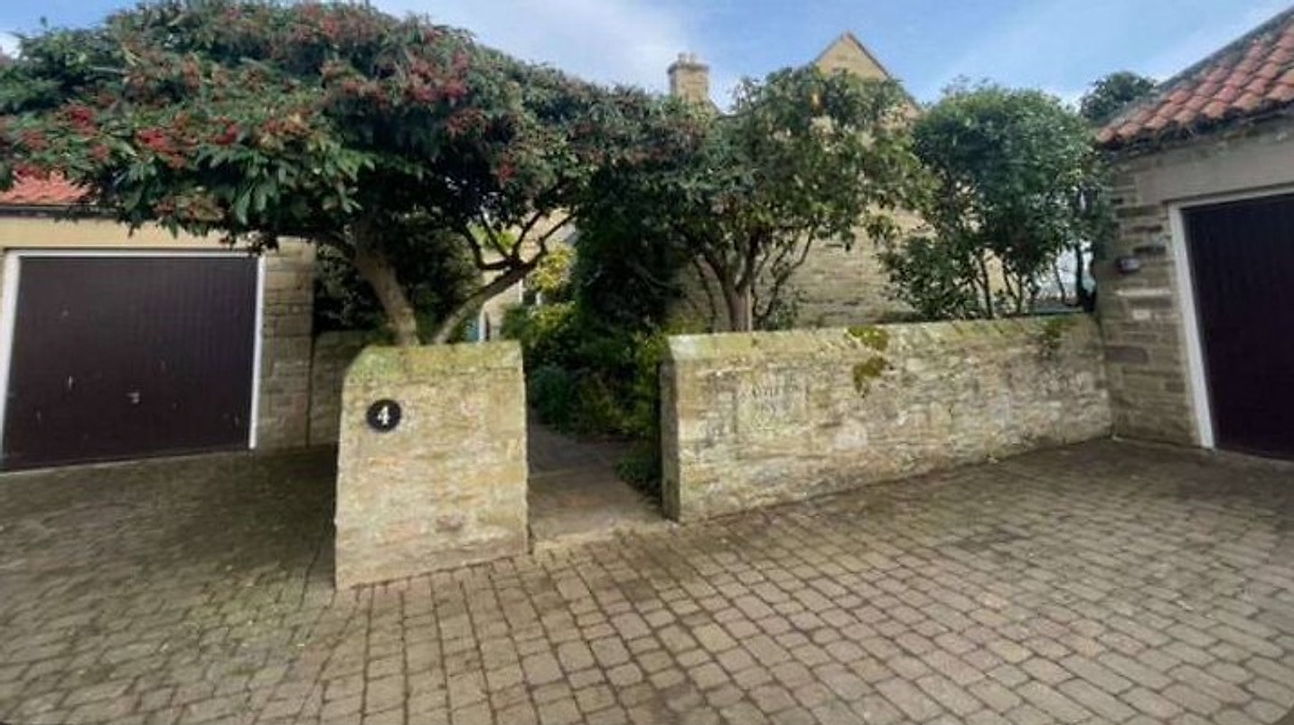 The same driveway with the tree pruned back to a neat canopy