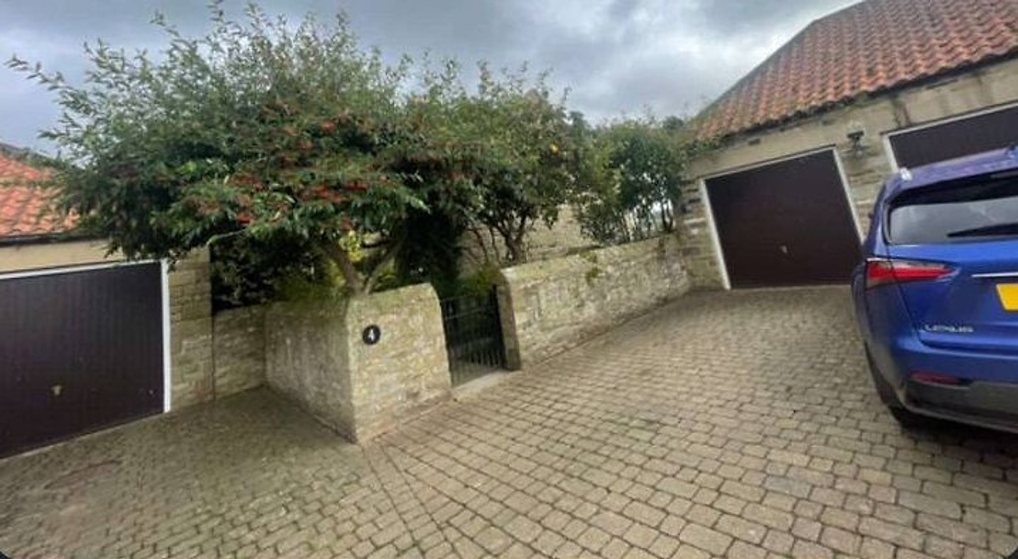 An overgrown tree sprawling over a driveway wall beside the garages