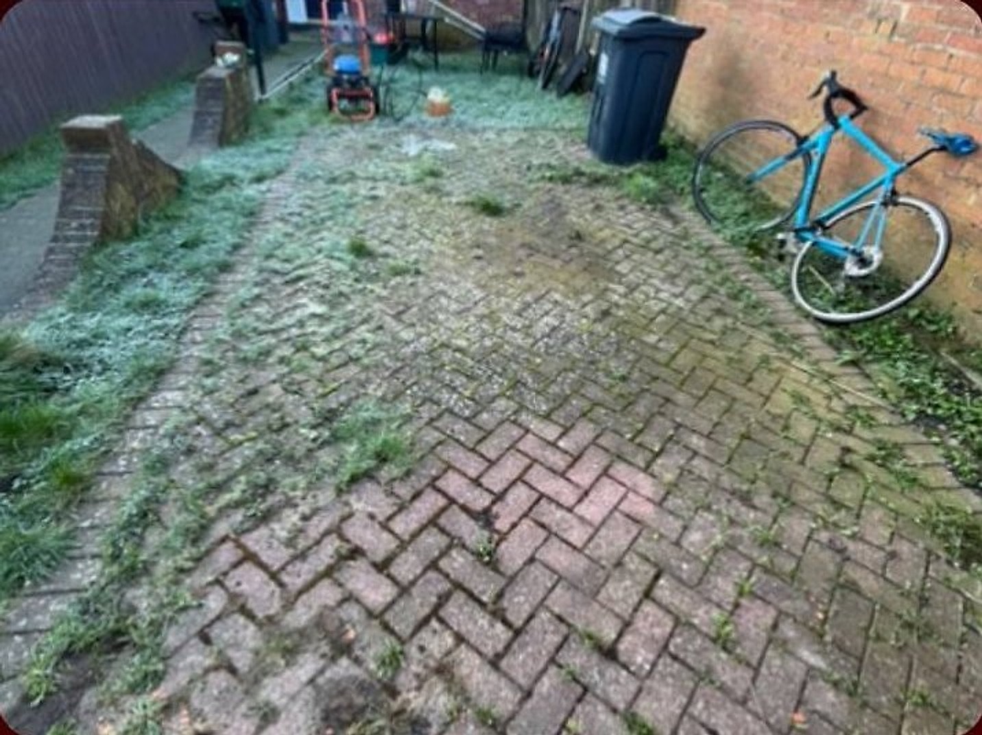 A block-paved path lost under moss and weeds